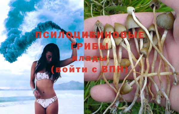 дживик Абаза
