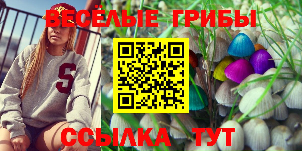 Галлюциногенные грибы прущие грибы  Галлюциногенные грибы Psilocybe  Вход с VPN  Орск 